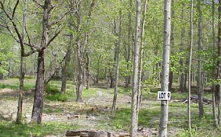 LOT 9 Tusquittee Road, Hayesville