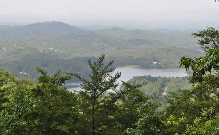 124 Campbell Cove Creek, Turtletown