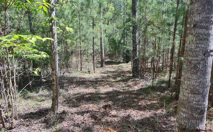 Lot 32 Northshore Drive, Blairsville