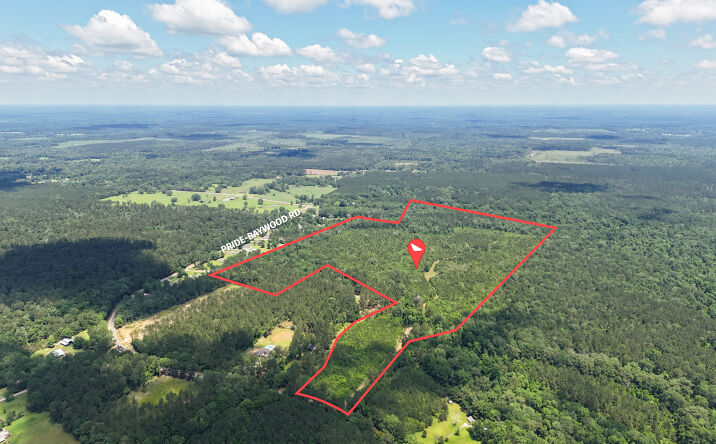 20907 Pride-Baywood Road, Greenwell Springs
