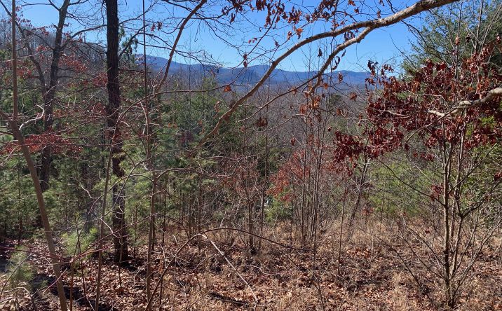 111 Four Seasons Landing, Blairsville