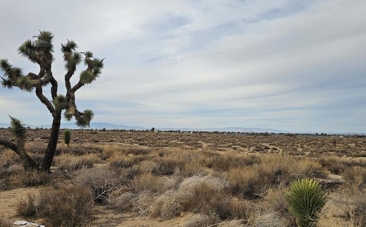 AVENUE L4, PALMDALE