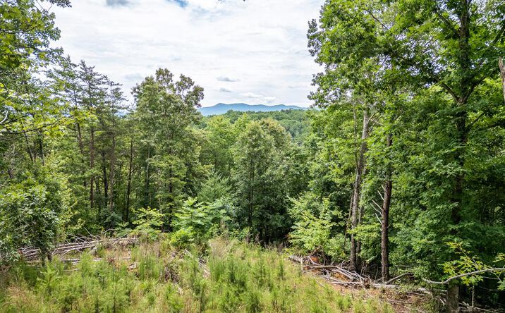 Lt 1 Stormy Ridge, Brasstown