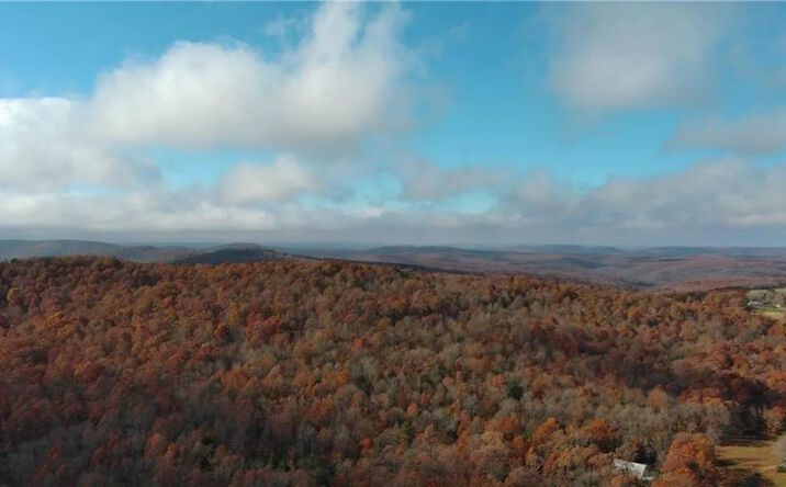 TBD NC 9311, 8716