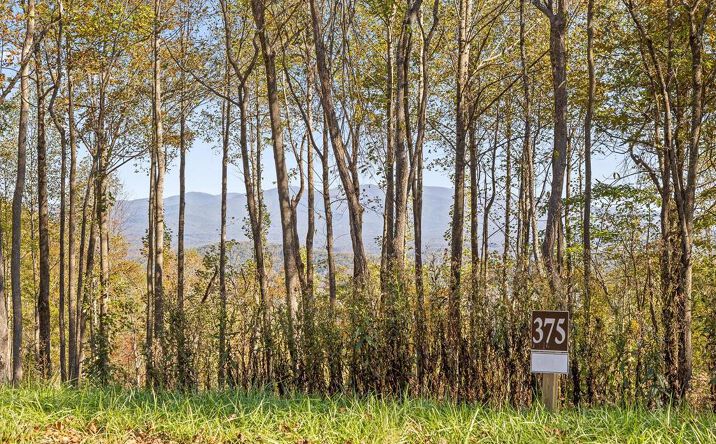 Lot 375 Calloway Mountain Road, Talking Rock