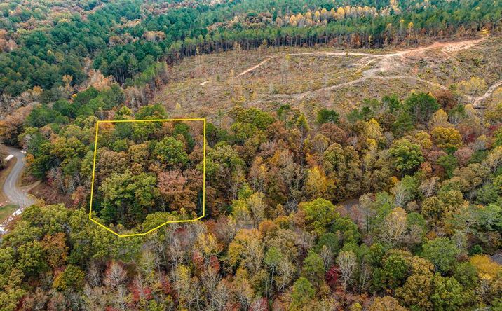 LOT 49 Lower Creek Trail, Ellijay