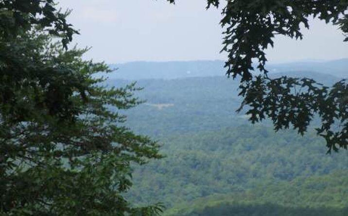Buena Vista Drive, Ellijay