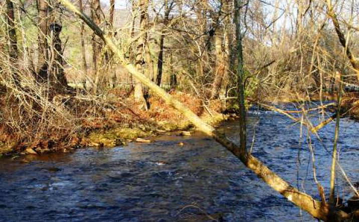 LT #4 Tusquittee/Sunday Br, Hayesville