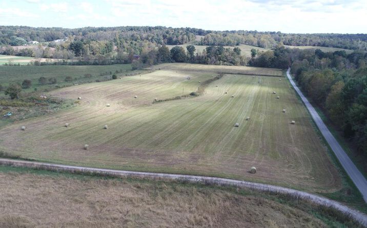 Reno Lane, Washington Twp