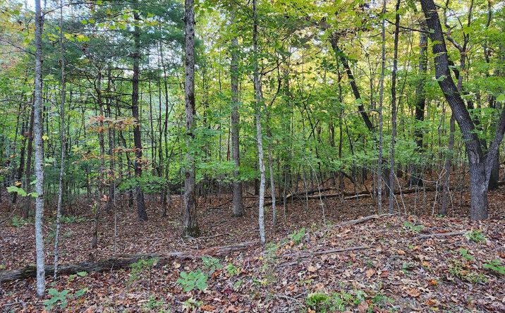North View Trail, Mineral Bluff