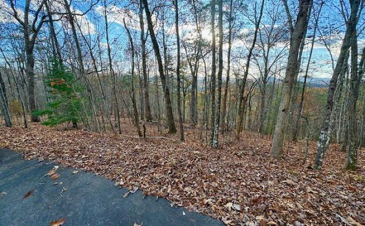 Lot 49 Mission Ridge, Hayesville