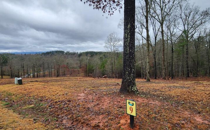 Lot 9 Arbor Creek Trail, Mineral Bluff