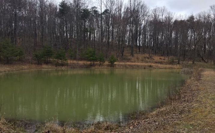 Cassel Run Road, Brushcreek Twp