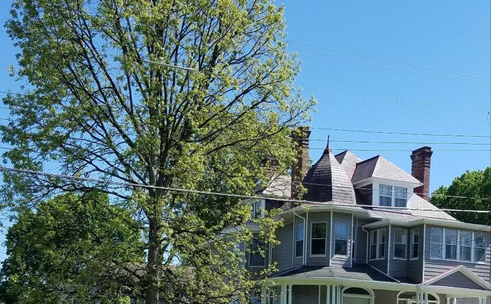 Ashland Avenue, Norwood