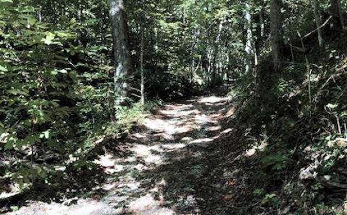 38.000ac Quercus Grove Road, Rising Sun