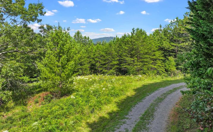 North View Drive, Mineral Bluff