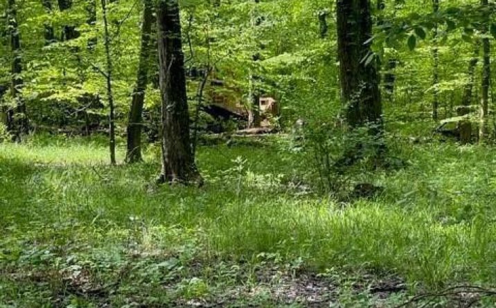 Shiloh Road 37, Wayne Twp