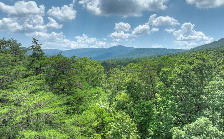 Lot 34 Greystone Trace, Ellijay