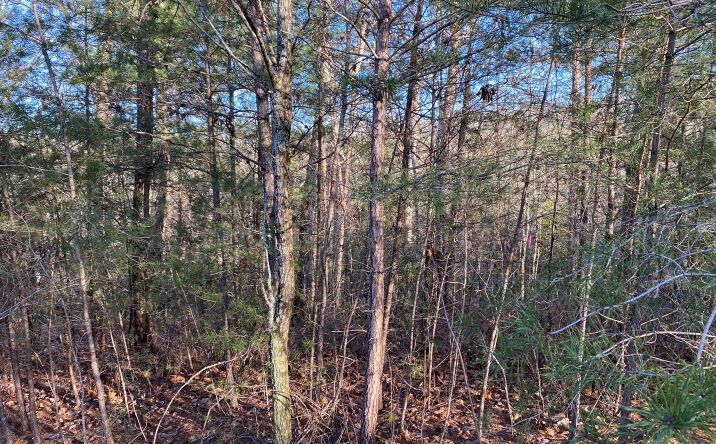 LOT26 Cohutta Overlook Trail, Blue Ridge