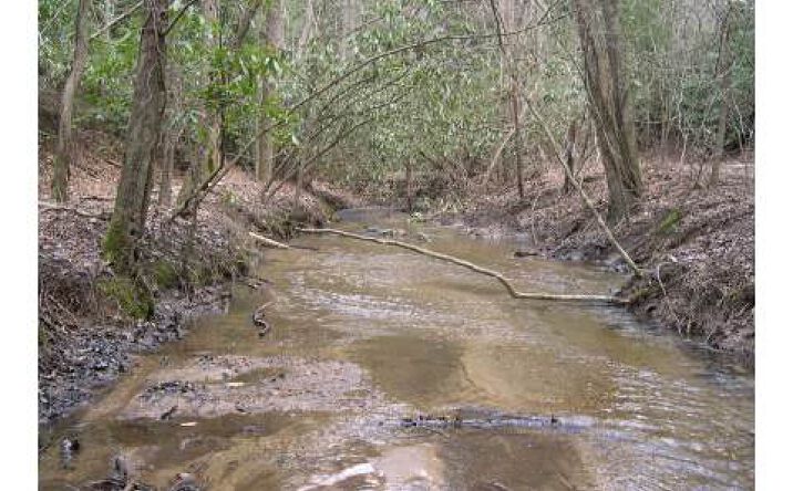 Laurel Ridge Road, Cherry Log