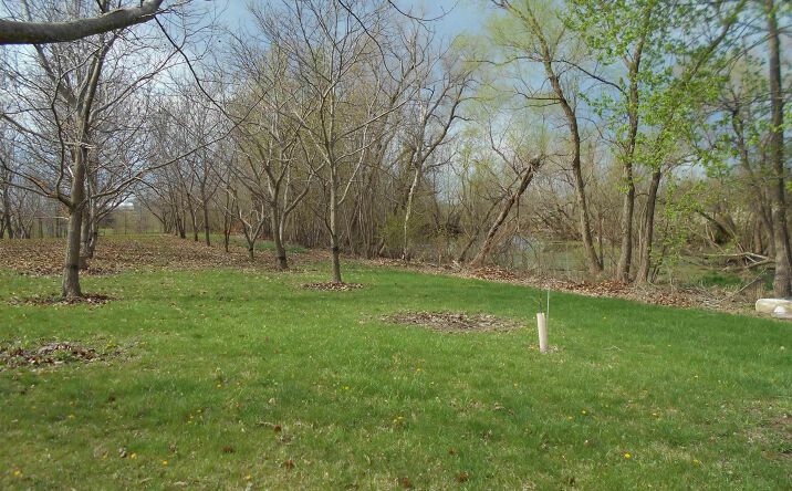 16172 E 100TH Street, Blandinsville