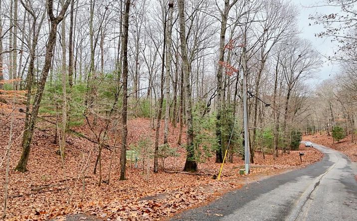 Tract 3 Wilmar Circle, Blairsville