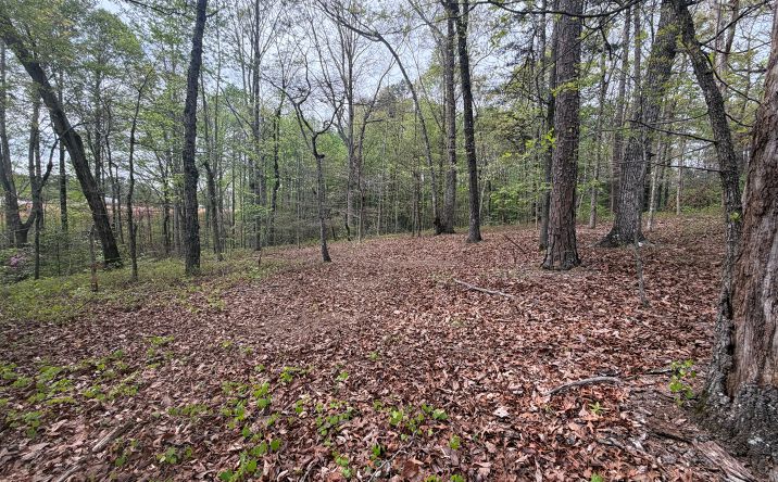 N County Line Drive, Alto
