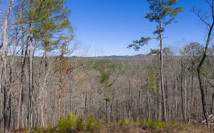 Lot 285 Anglers Ridge Road, Talking Rock