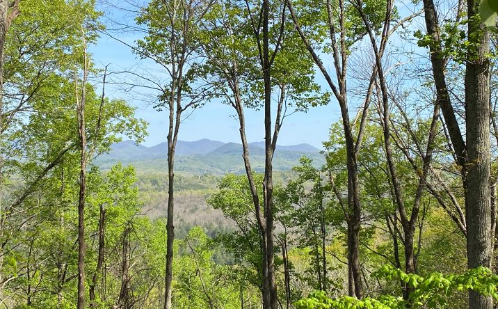 LOT19 Raven Ridge Circle, Mineral Bluff