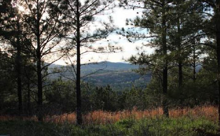 130 The Hills At Queens Gap, Blairsville