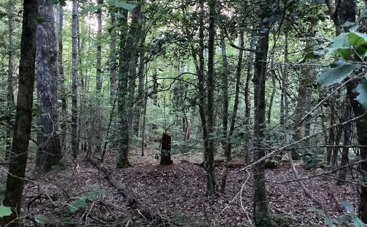 LOT 15 Hi River Road, Hiawassee