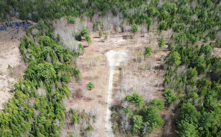 Lot 16 Bailey Mountain Road, Franklin