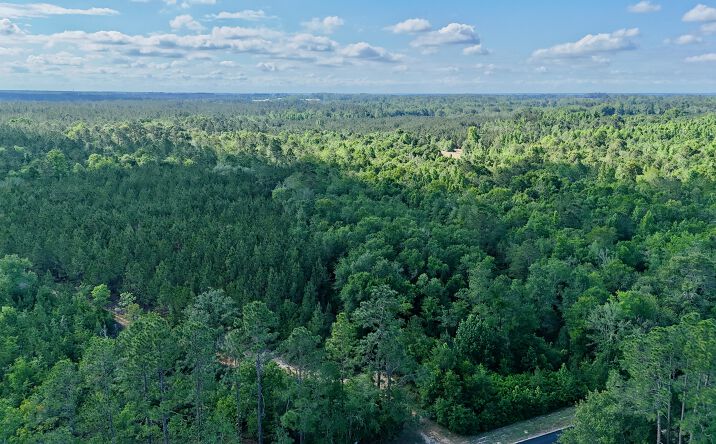 Tract 3 - Oscar Tippins Road, Baxley