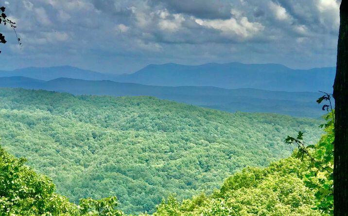 LT24 Utana Bluff Trails, Ellijay