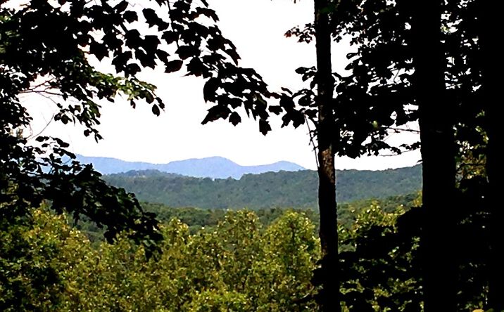 LOT29 Chicory Drive E, Blairsville
