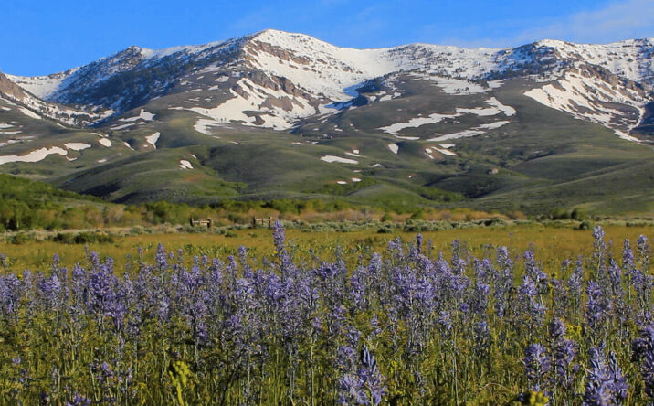 Northfork Ranch, Elko