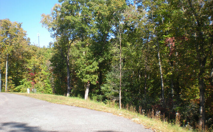 LOT 8 Robert Drive, Ellijay