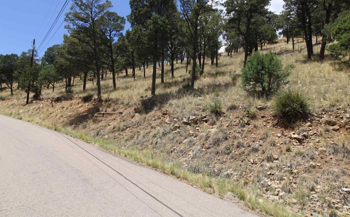105 & 107 Valley View Drive, Ruidoso