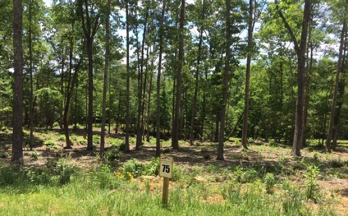 LT 75 Highland Park, Blairsville