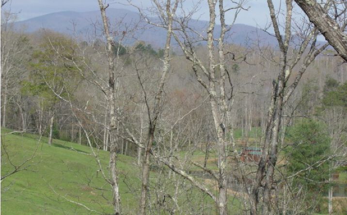 196 Austin Mountain Road, Copperhill