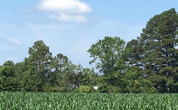 500 Walnut Point Road, HEATHSVILLE