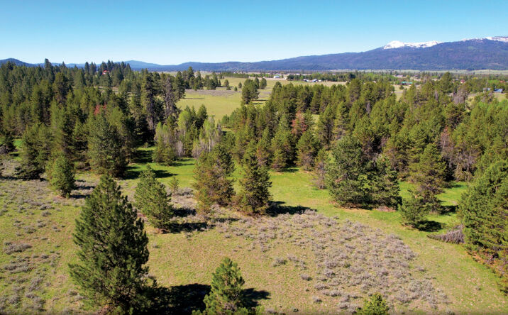 320 Acres Big Creek Meadows, Cascade