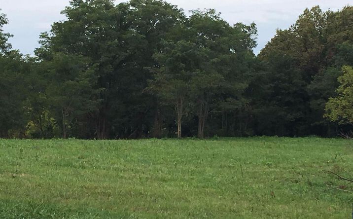 4.65ac Beechwood Road, Union Twp