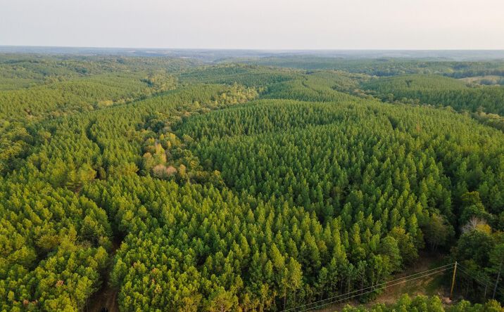 538 Seiber Ridge Road, Hohenwald