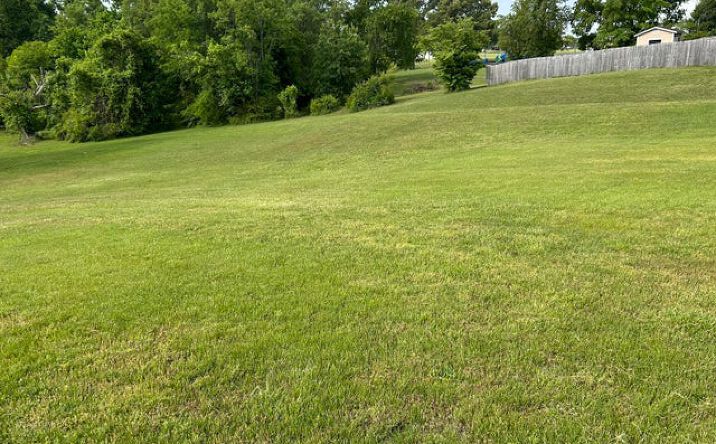5552 Thompsie Drive, Russellville
