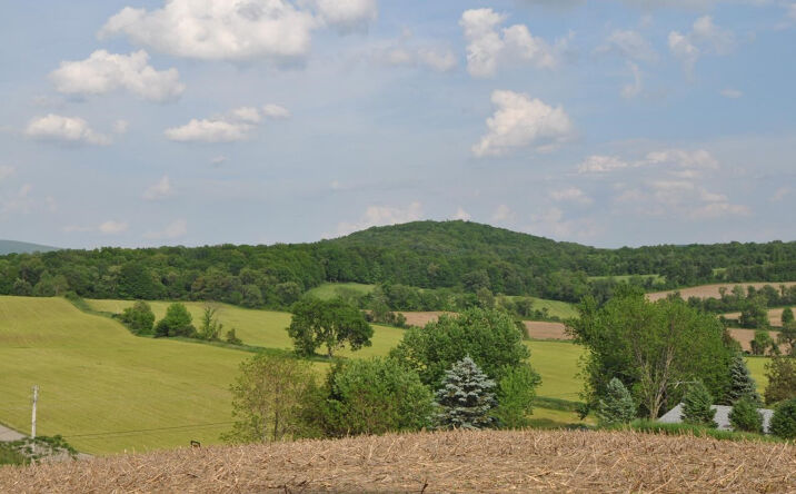 Pats Road, Ancram