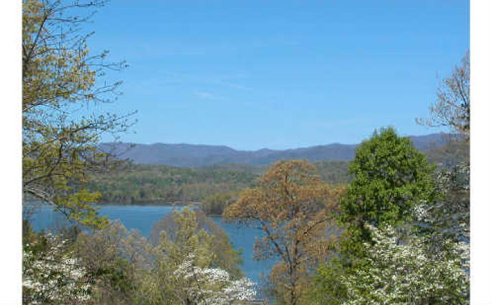 LT 12 Chatuge Cove Drive, Hayesville