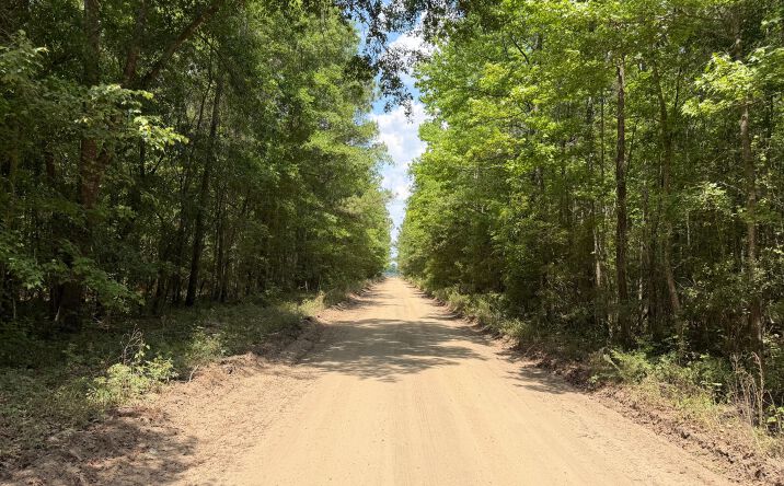 Toney Bay Road, Holly Hill