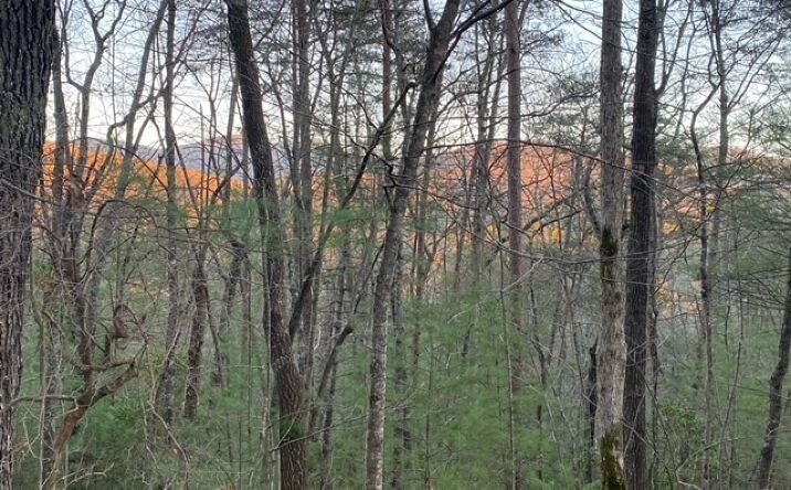 2.9AC Goose Island Road, Cherry Log