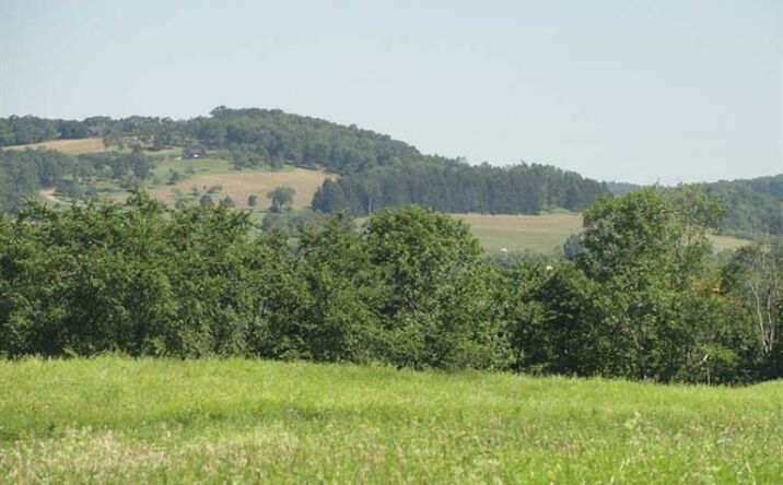 2993 RT 82, Ancram